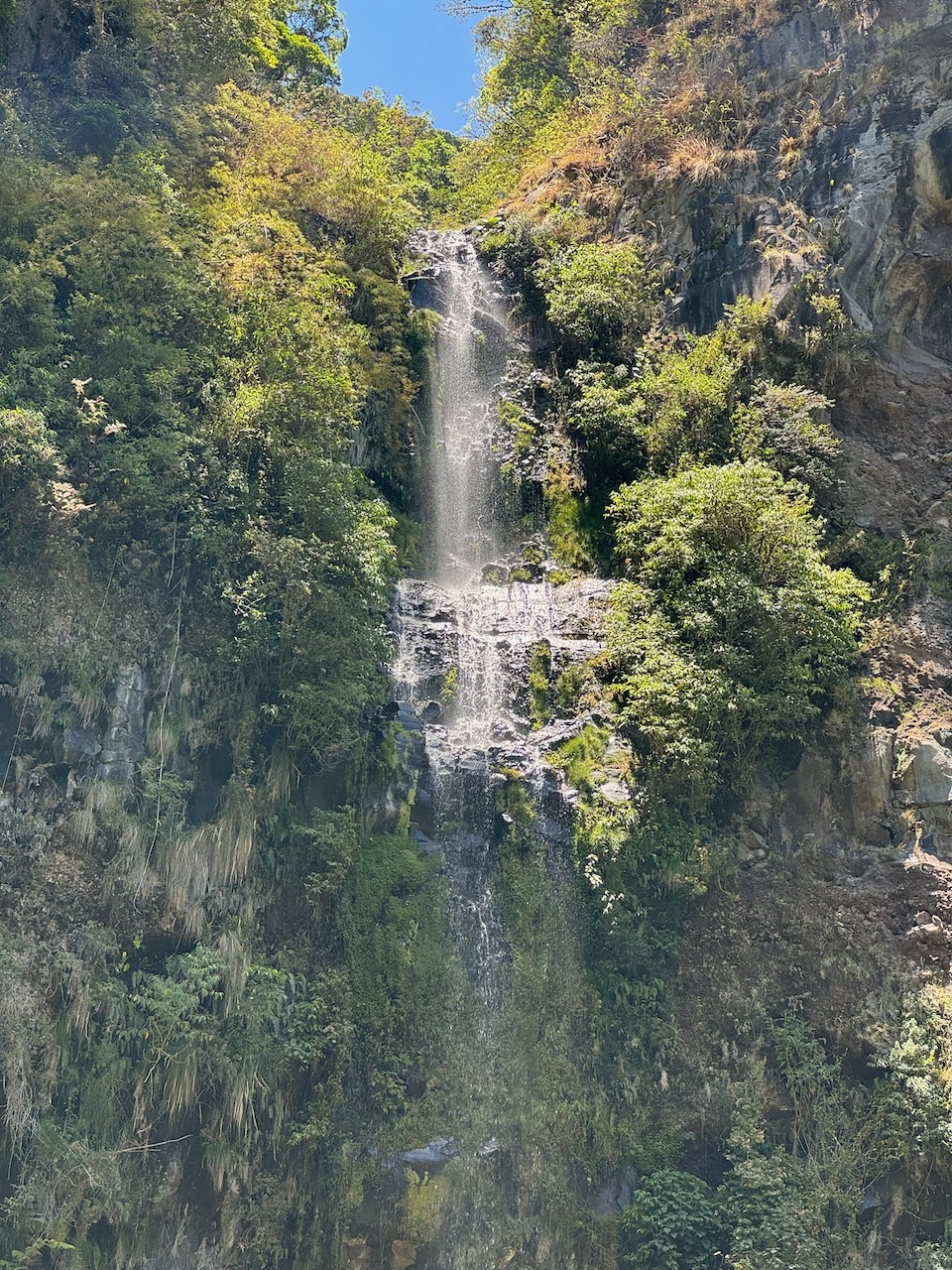 A narrow waterfall in a green forest